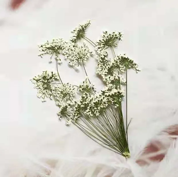 5-7cm/12pcs,Snow Tiny Flowers  - Craft Embellishments recension och pris