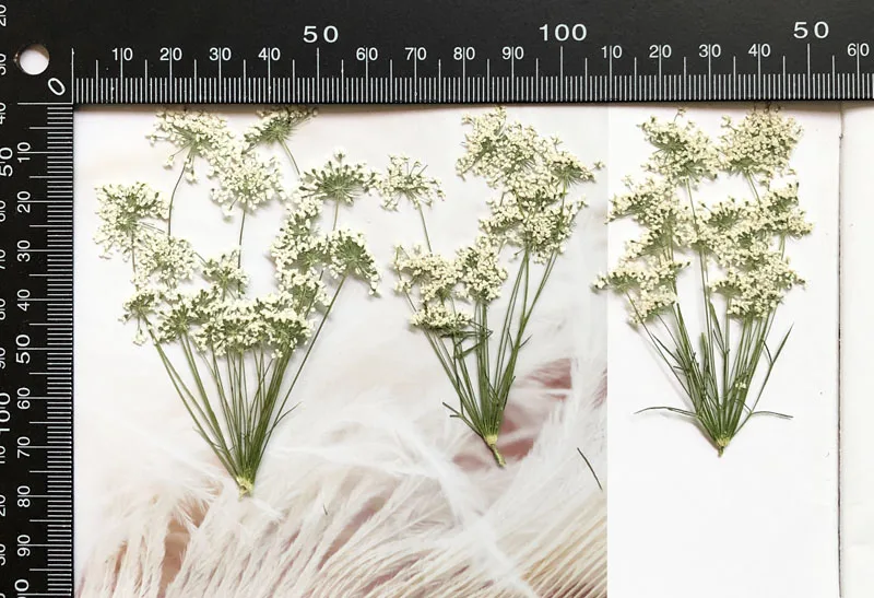 5-7cm/12pcs,Snow Tiny Flowers  - Craft Embellishments recension och pris