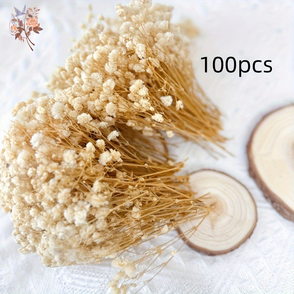 100pcs Mini Dried Baby's Breat - Craft Embellishments recension och pris