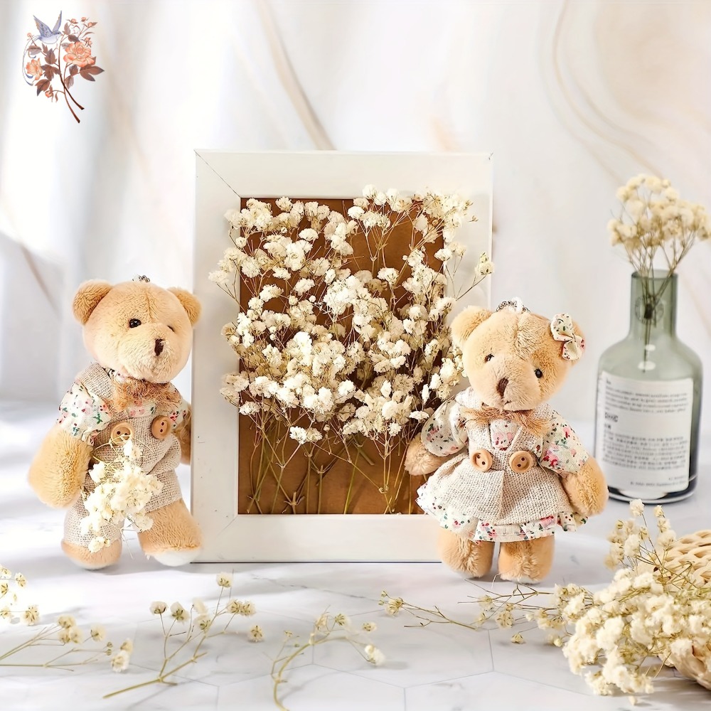 100pcs Mini Dried Baby's Breat - Craft Embellishments recension och pris
